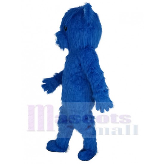 Oso Esponjoso Azul Marino Disfraz de mascota Animal
