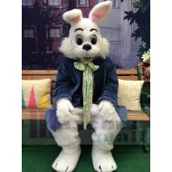 Ostern Wendell Kaninchen Maskottchen Kostüm Tier im blauen Anzug