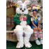 Pascua de Resurrección Conejo Wendell Disfraz de mascota Animal en abrigo verde