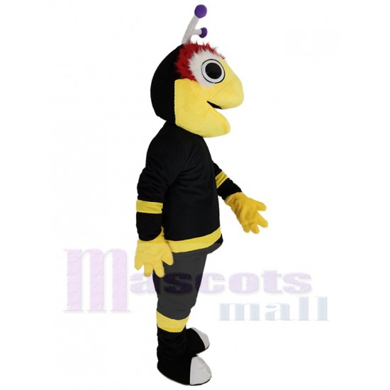 Noir Foudre de Tampa Bay Costume de mascotte Animal