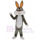 Longues oreilles de Pâques Bugs Bunny Costume de mascotte Dessin animé