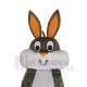 Orejas largas de pascua Bugs Bunny Disfraz de mascota Dibujos animados