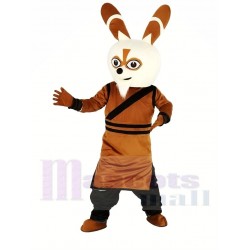 Kung Fu Panda Master Shifu Raccoon Mascot Costume Animal