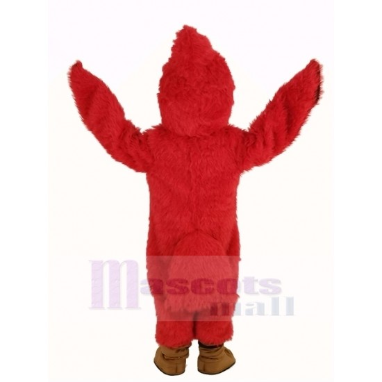 Cardenal rojo de pelo largo Disfraz de mascota Animal