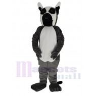 Long Tailed Lemur Mascot Costume Animal