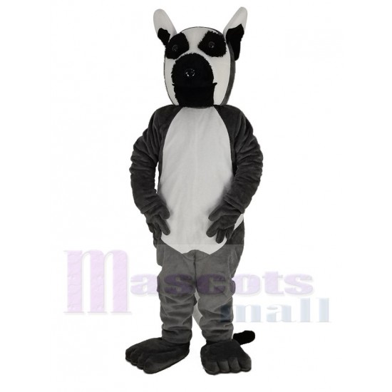 Lange Tailed Lemur Maskottchen Kostüm Tier