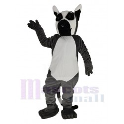 Long Tailed Lemur Mascot Costume Animal