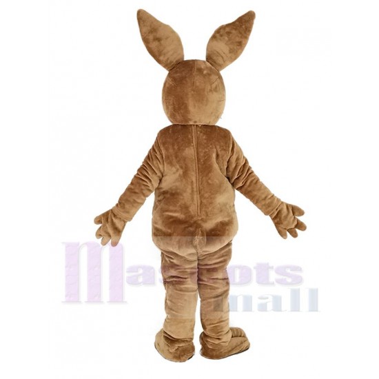 Peter Rabbit marrón Traje de la mascota Dibujos animados