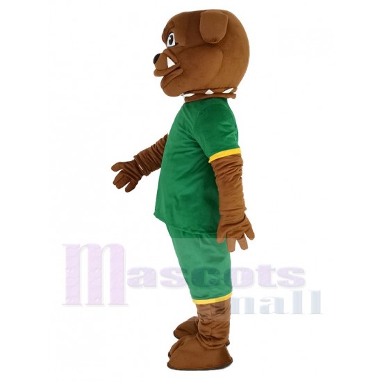 Bulldog marrón Traje de la mascota en sudadera verde