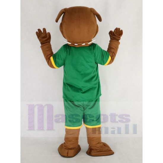 Bulldog marrón Traje de la mascota en sudadera verde