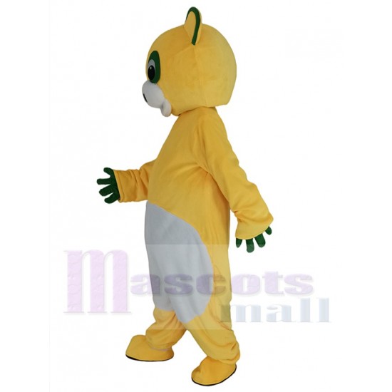 Yellow Bear Mascot Costume Animal with Green Eyes