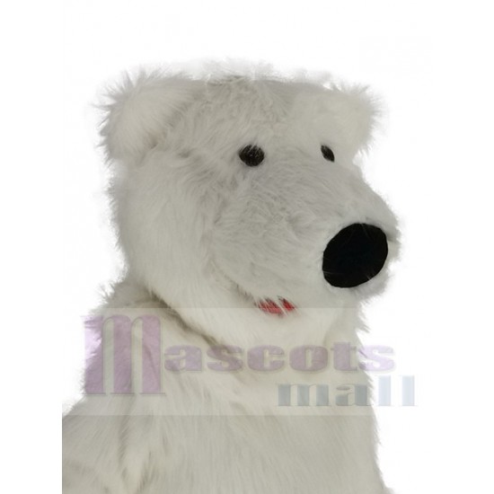 Cute Giant Fat Polar Bear Mascot Costume Animal