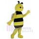 Bee Mascot Costume Cartoon