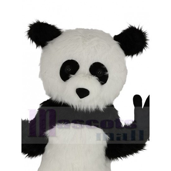 Gracioso En blanco y negro Panda Traje de la mascota Animal
