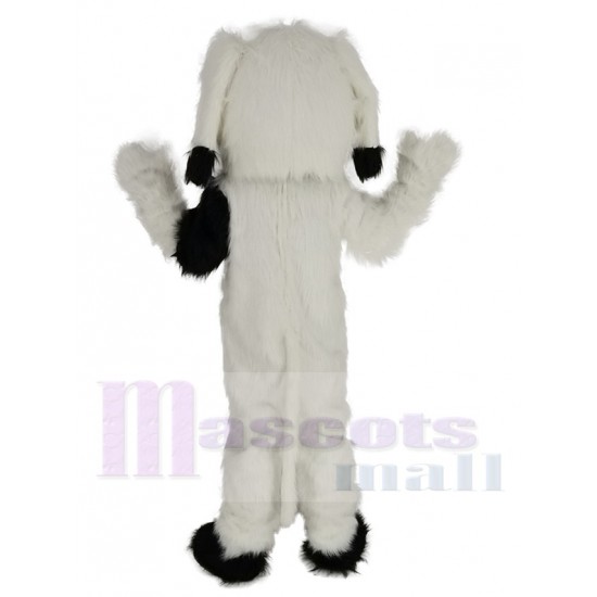 Komisch Schwarz-weißer Hund Maskottchen Kostüm Tier