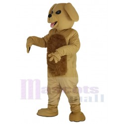 Schöner goldener Hund Maskottchen Kostüm Tier