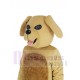 Precioso perro dorado Disfraz de mascota Animal