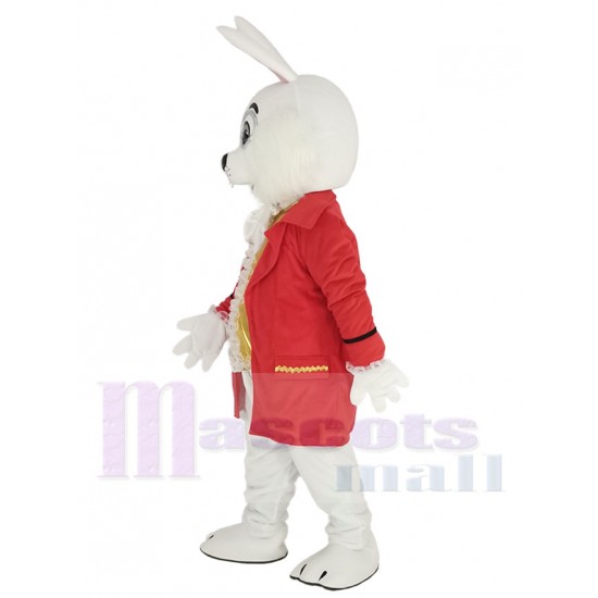 Lapin de Wendell lapin de Pâques Costume de mascotte Animal en costume rouge