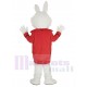 Lapin de Wendell lapin de Pâques Costume de mascotte Animal en costume rouge