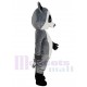 Freundlicher grauer Waschbär Maskottchen-Kostüm Tier