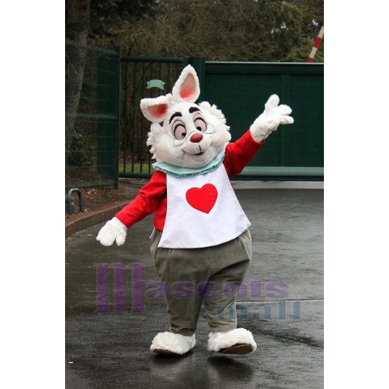 Conejo de Pascua Disfraz de mascota