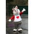 Easter Rabbit  Mascot Costume