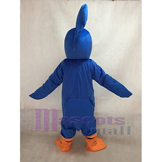 Roadrunner bleu mignon Mascotte Costume