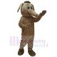 Lindo oso hormiguero cómico marrón Disfraz de mascota
