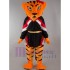 Tiger Kungfu Master Mascot Costume