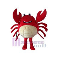 Cangrejo rojo profesional nuevo popular realista de la venta caliente Disfraz de mascota Dibujos animados vestido de lujo