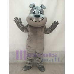 Bouledogue Tuffy gris mignon Mascotte Costume