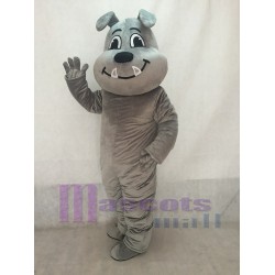Cute Gray Tuffy Bulldog Mascot Costume