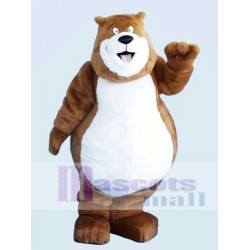 Ours Charmant Brun Mascotte Costume