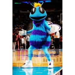 Costume de mascotte Hugo des New Orleans Hornets Charlotte