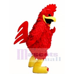 Pollo rojo Disfraz de mascota