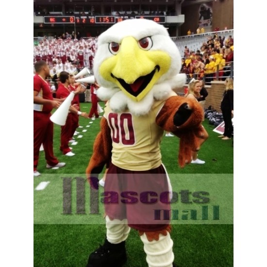 College Eagles Mascot Costume