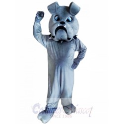 bulldog gris Disfraz de mascota