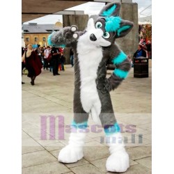 Husky gris et bleu Mascotte Costume Chien Fourrure