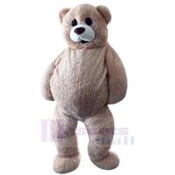 Funny Teddy Bear Mascot Costume
