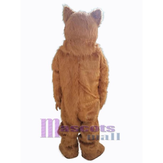 Wild Bär Maskottchen-Kostüm Tier