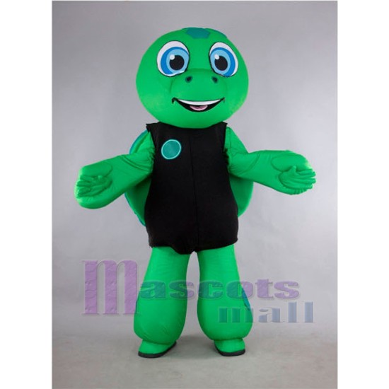 Tortuga verde Disfraz de mascota