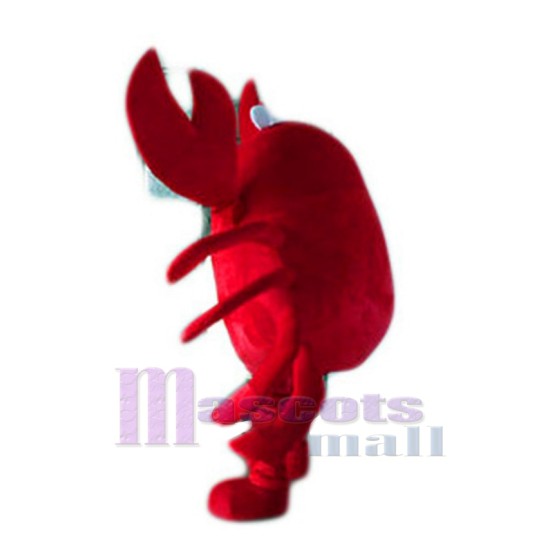 Hot Sale Réaliste Nouveau Crabe Rouge Professionnel Populaire Mascotte Costume Dessin animé Déguisements