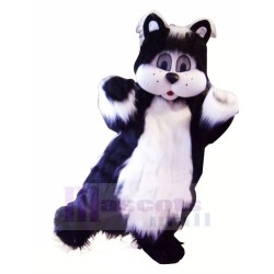 Chat noir et blanc avec de grands yeux Mascotte Costume Animal