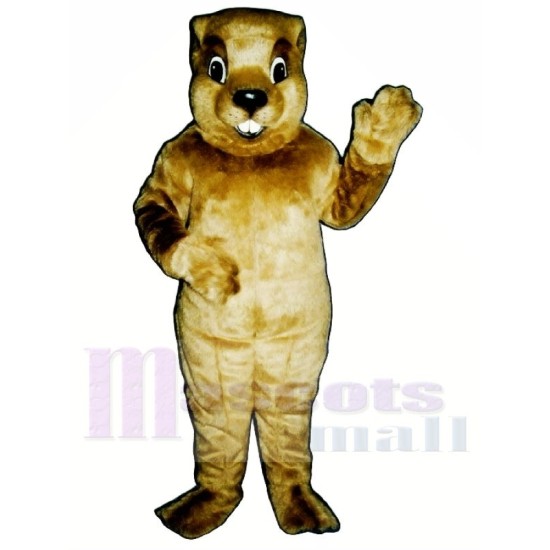 Marmotte Mascotte Costume