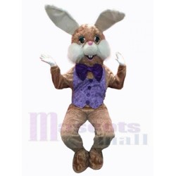 Friendly Brown Easter Bunny Mascot Costume Animal