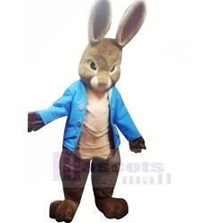 High Quality Peter Rabbit Mascot Costume