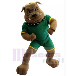 Bulldog Animal personalizado Disfraz de mascota