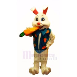 Lapin de Pâques avec carotte Mascotte Costume