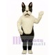 Cute Terri B. Terrier Dog Mascot Costume
