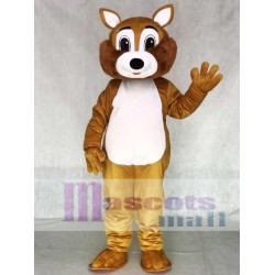 Squirrel with White Belly Mascot Costume 